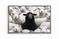 THE BLACK SHEEP